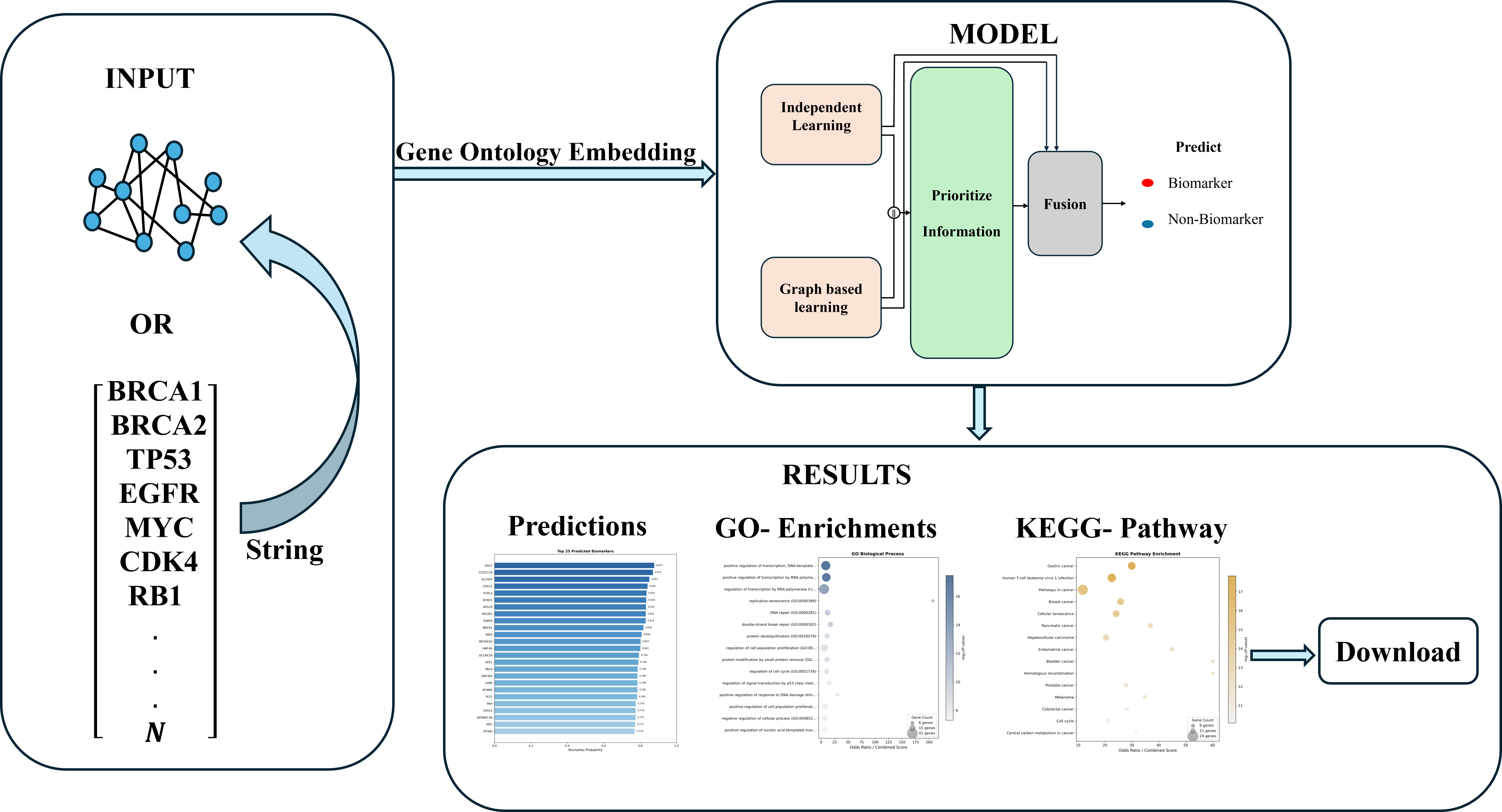 GO-DMBC Model Architecture